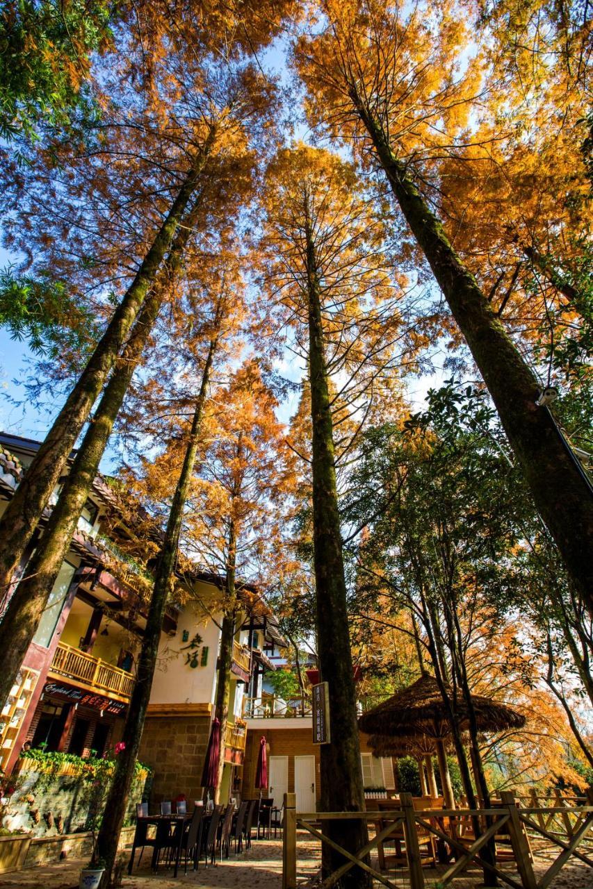 Wuyi Mountain Ancient Street Forest Living England Time Inn 武夷山 外观 照片